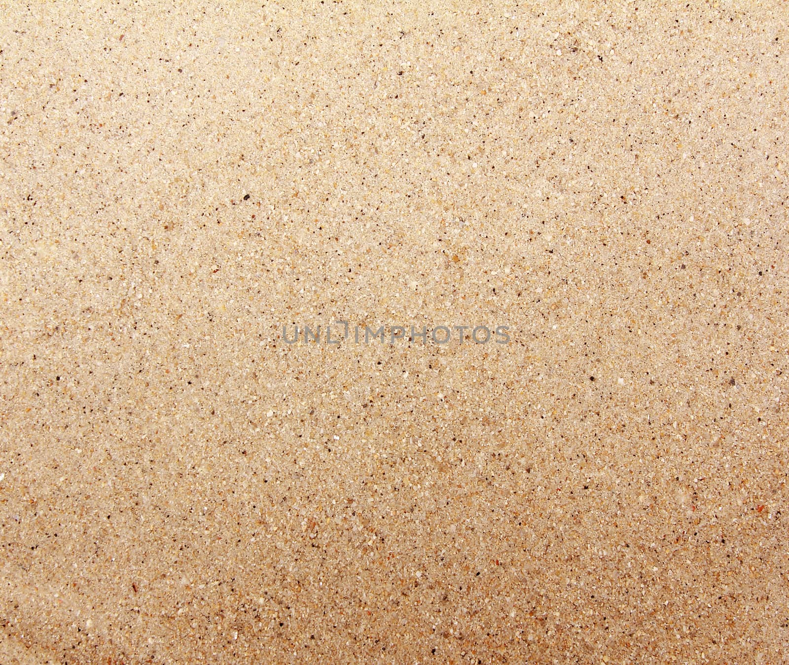 Sea Sand texture for background