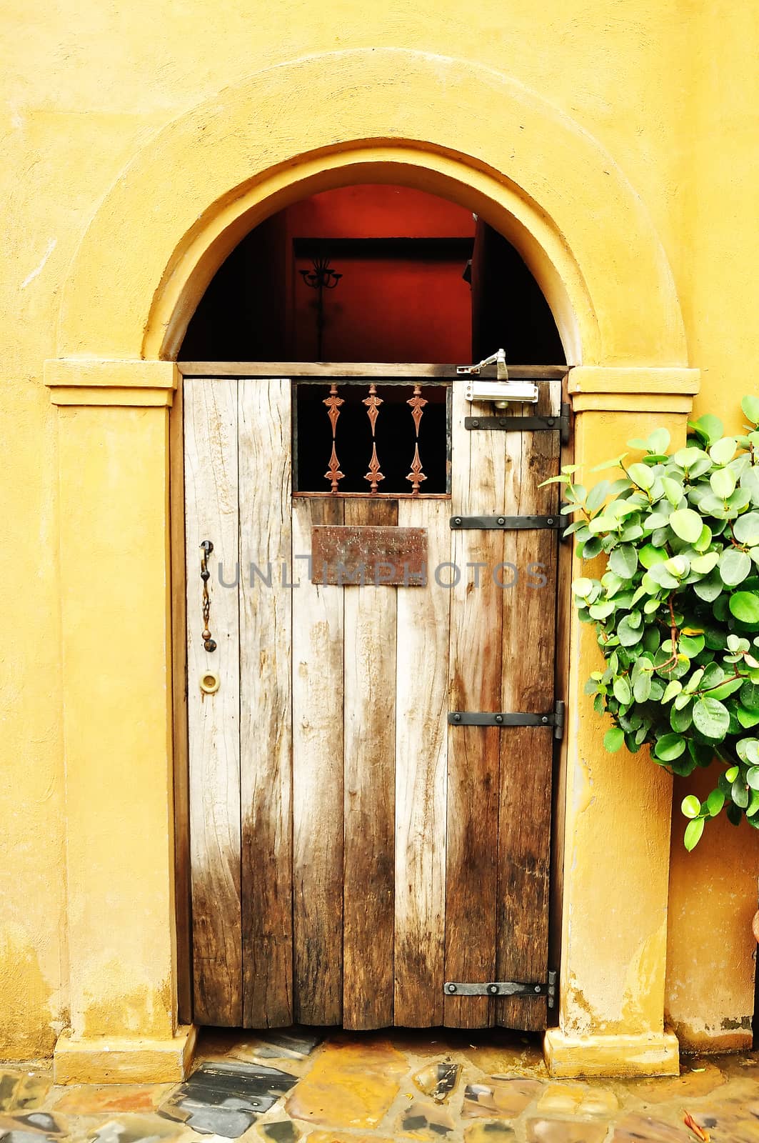 Arched medieval wooden door by thampapon