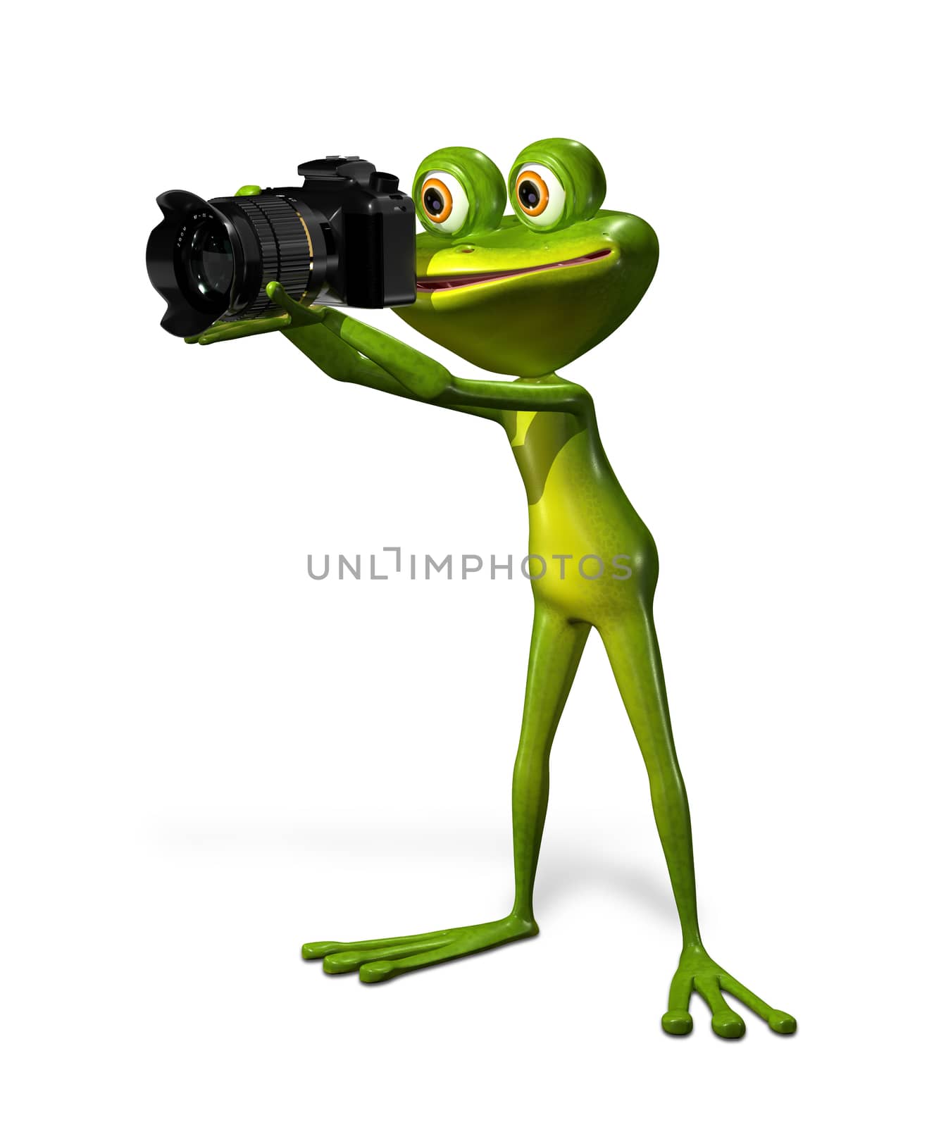 illustration a merry green frog with a camera