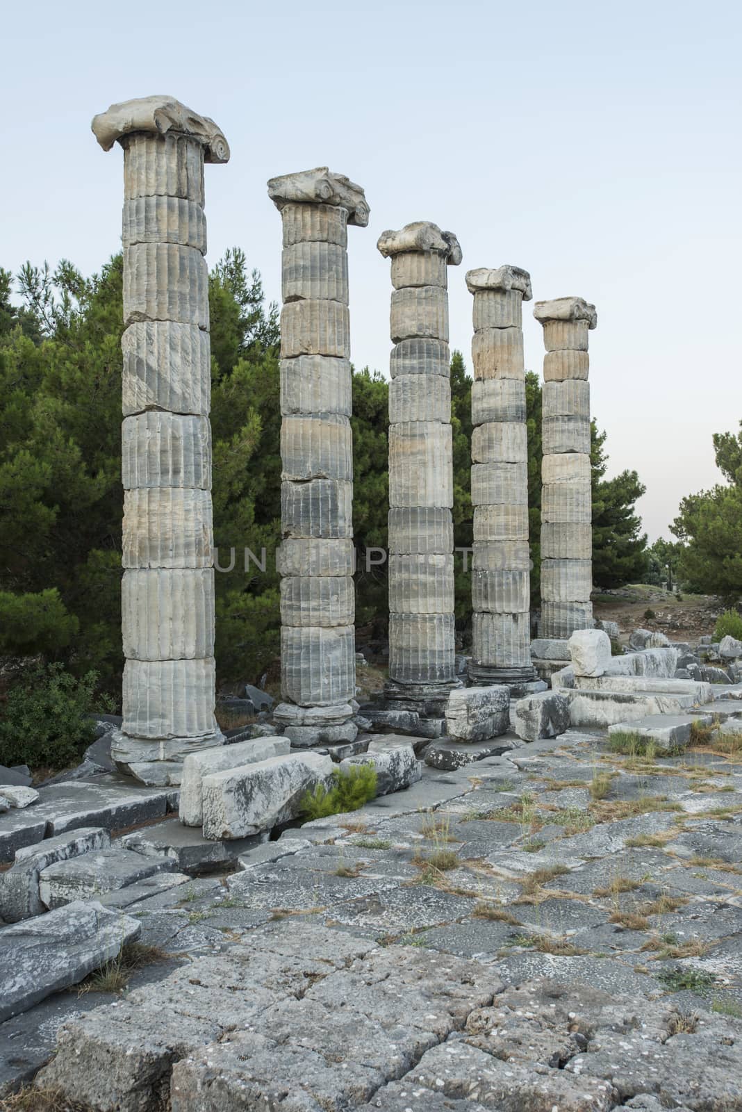 Columns of Priene by emirkoo