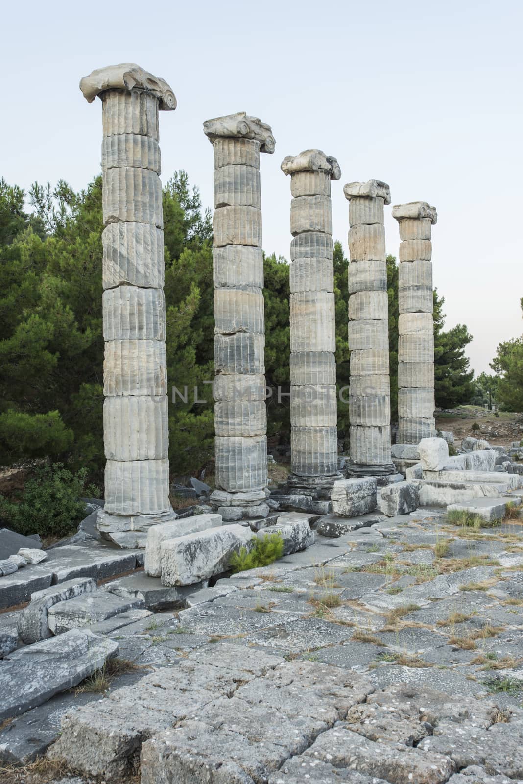 Columns of Priene by emirkoo