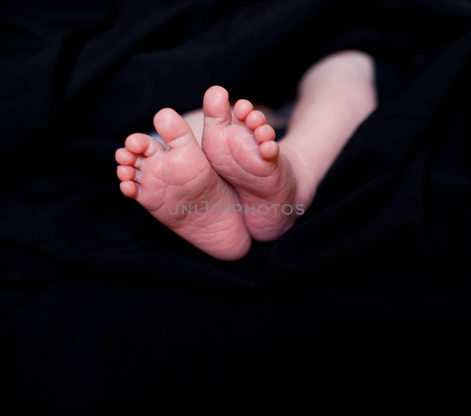 Newborn 11 days young baby feet. Isolated on black.