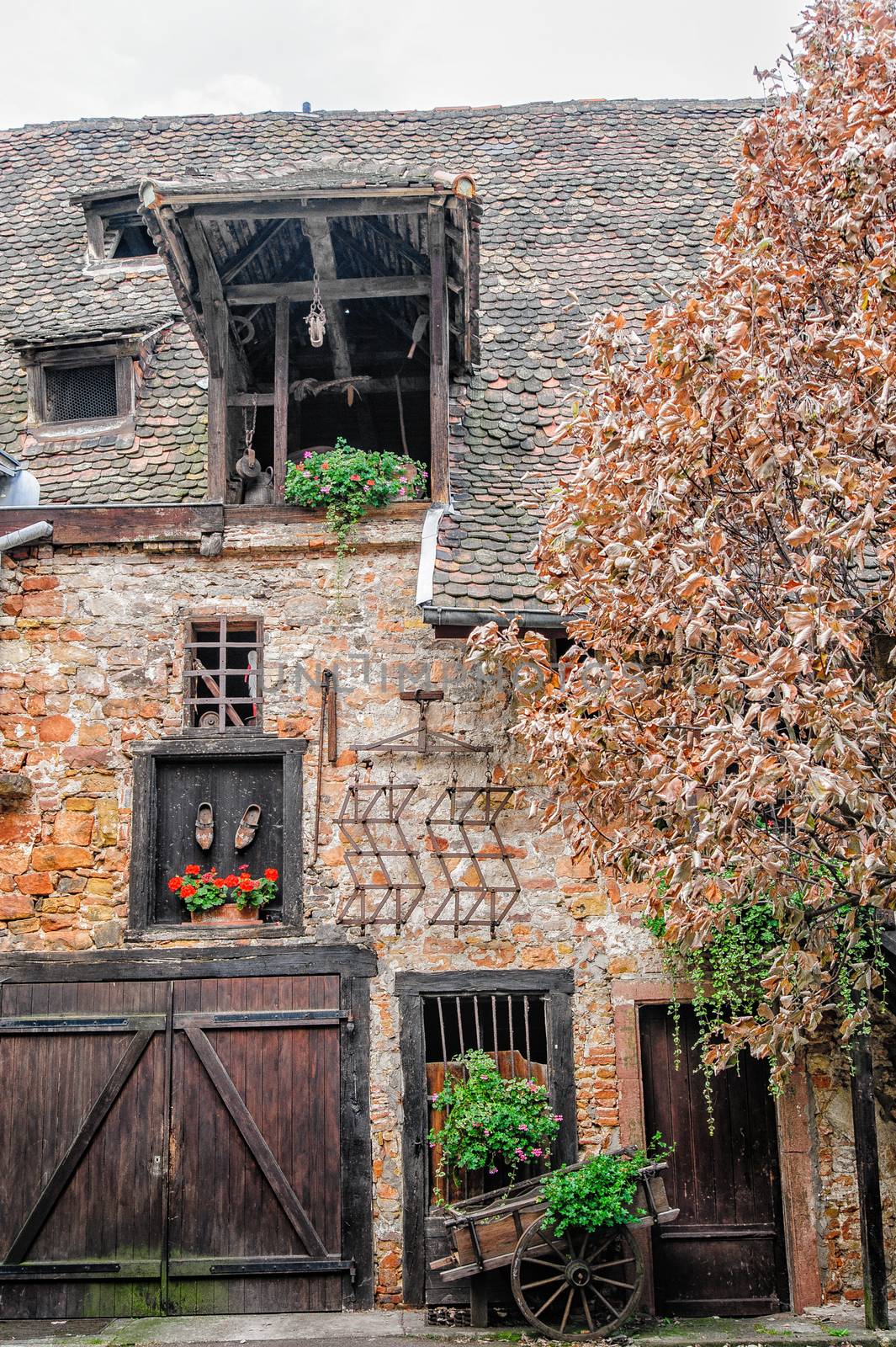 Facade of rustic farmhouse in Alsace by tepic