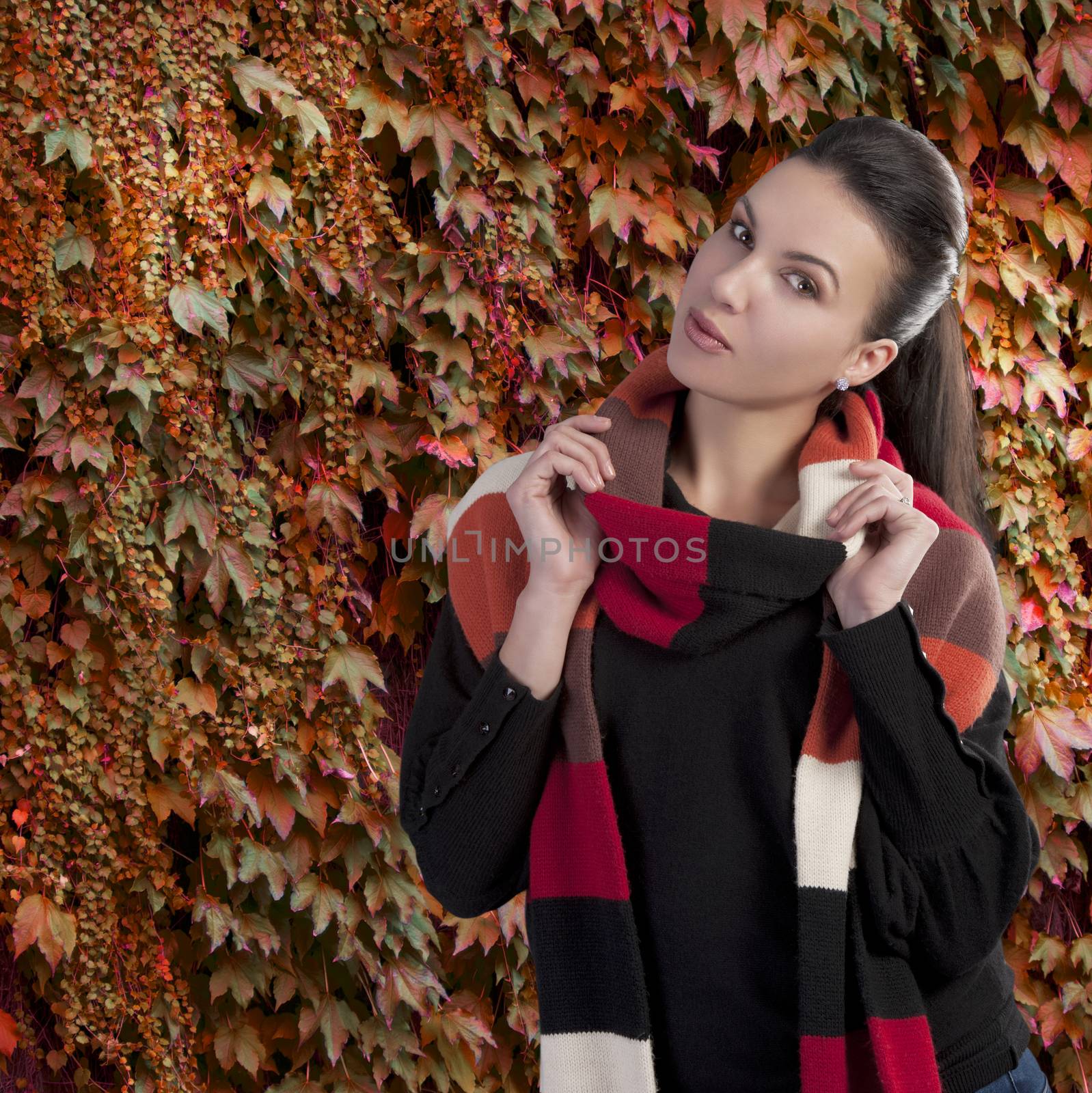 Autumn shot of a young pretty lady wearing a dark sweater and a fall color long scarf