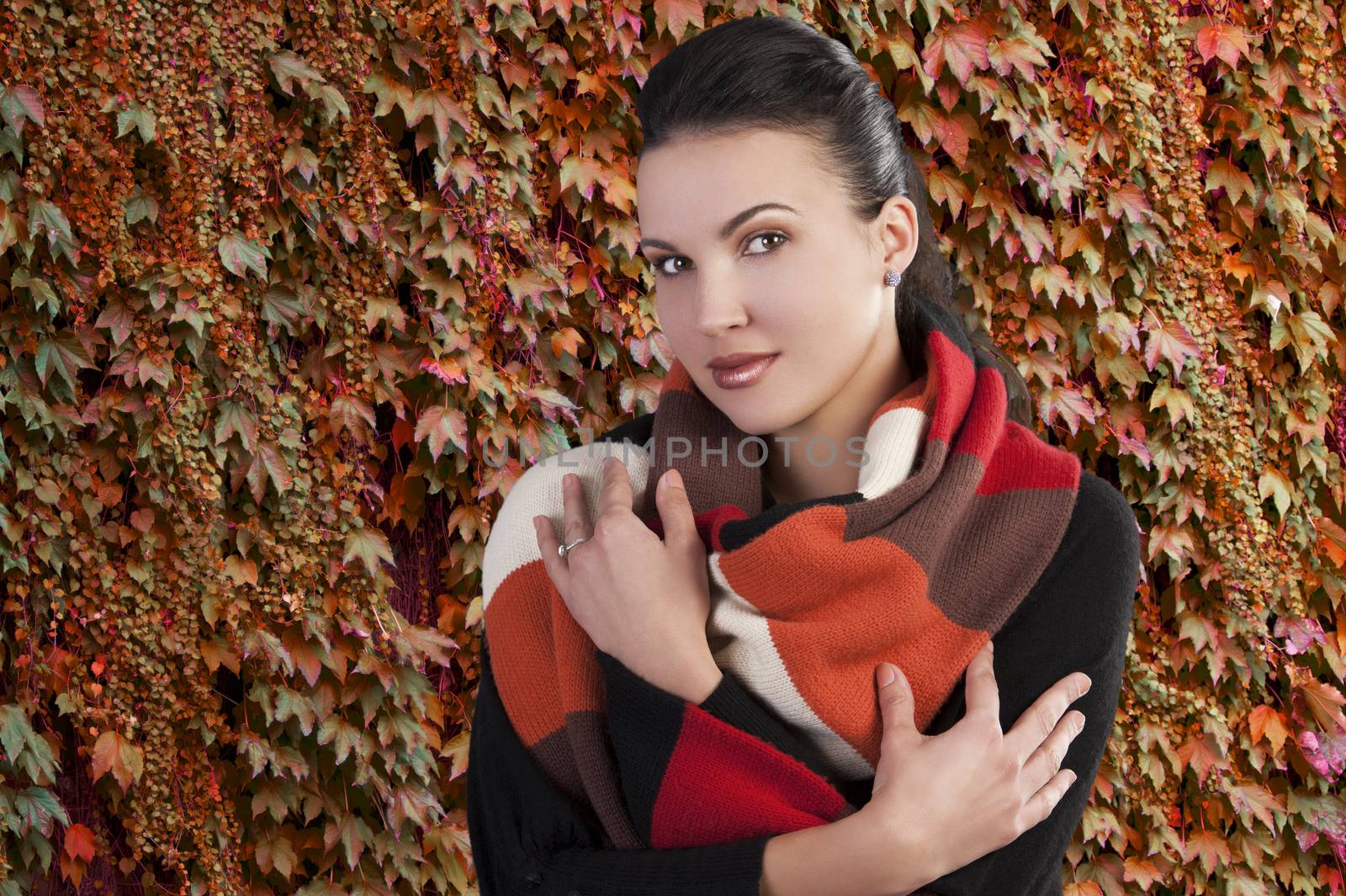 Autumn shot of a young pretty brunette wearing a dark sweater and a fall color long scarf on dark background