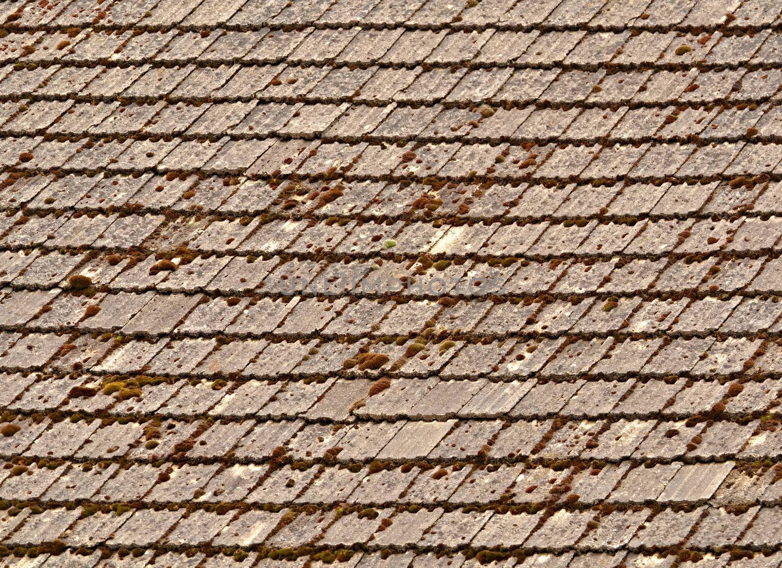 background or texture moss covered shingle roof