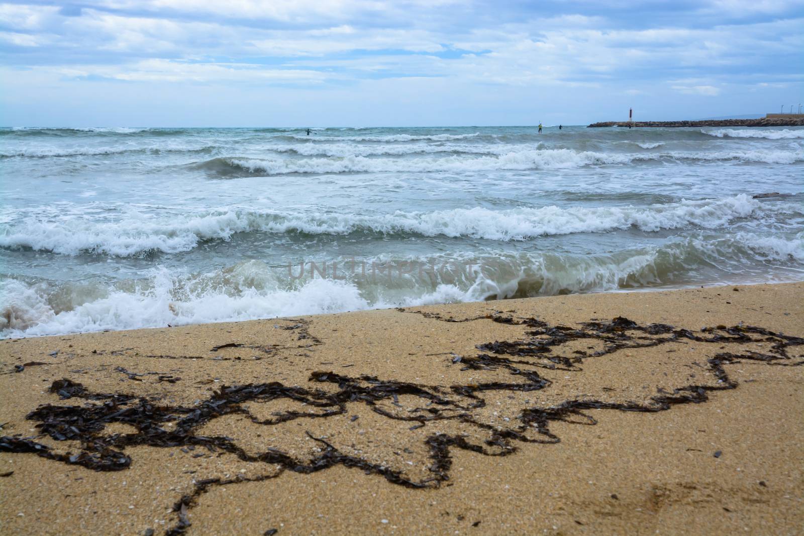 Stormy seaweed beach. Mallorca, Balearic islands, Spain in November.