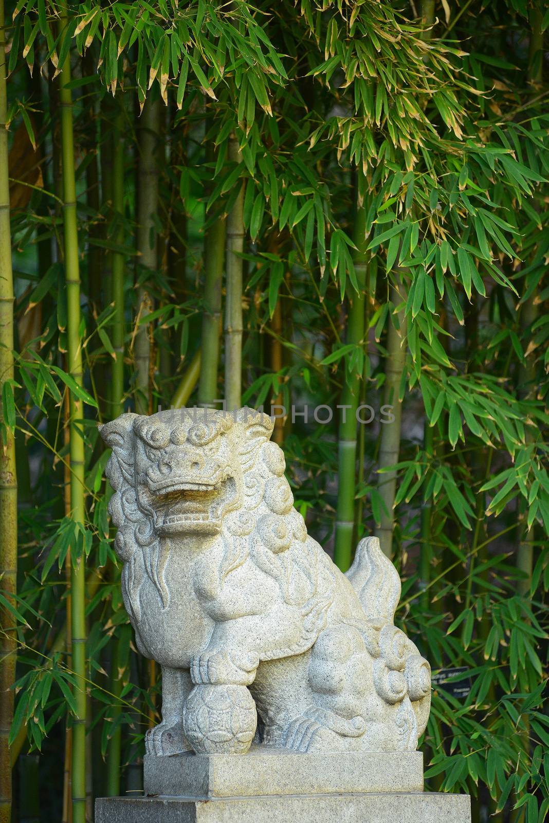 chinese stone lion by porbital