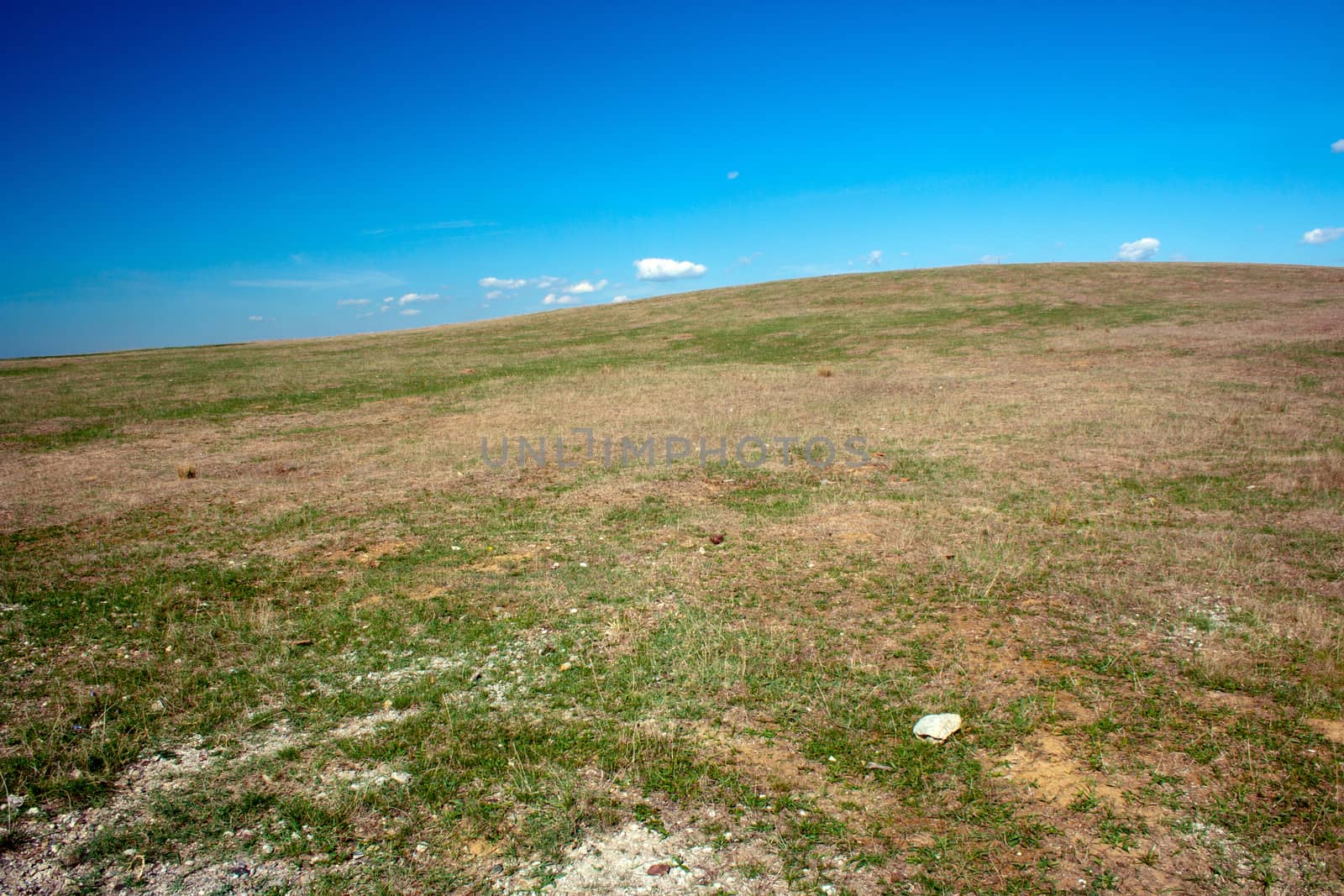 Meadow and blue sky