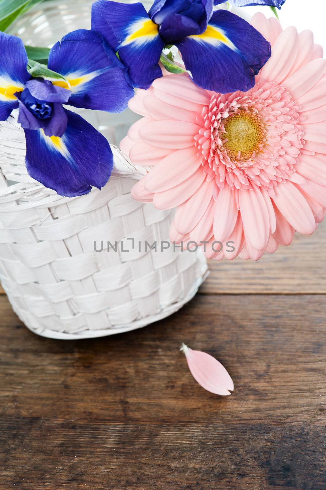 Blue irisis and pink gerbera daisy flower in white basket on wooden table. Vintage style 