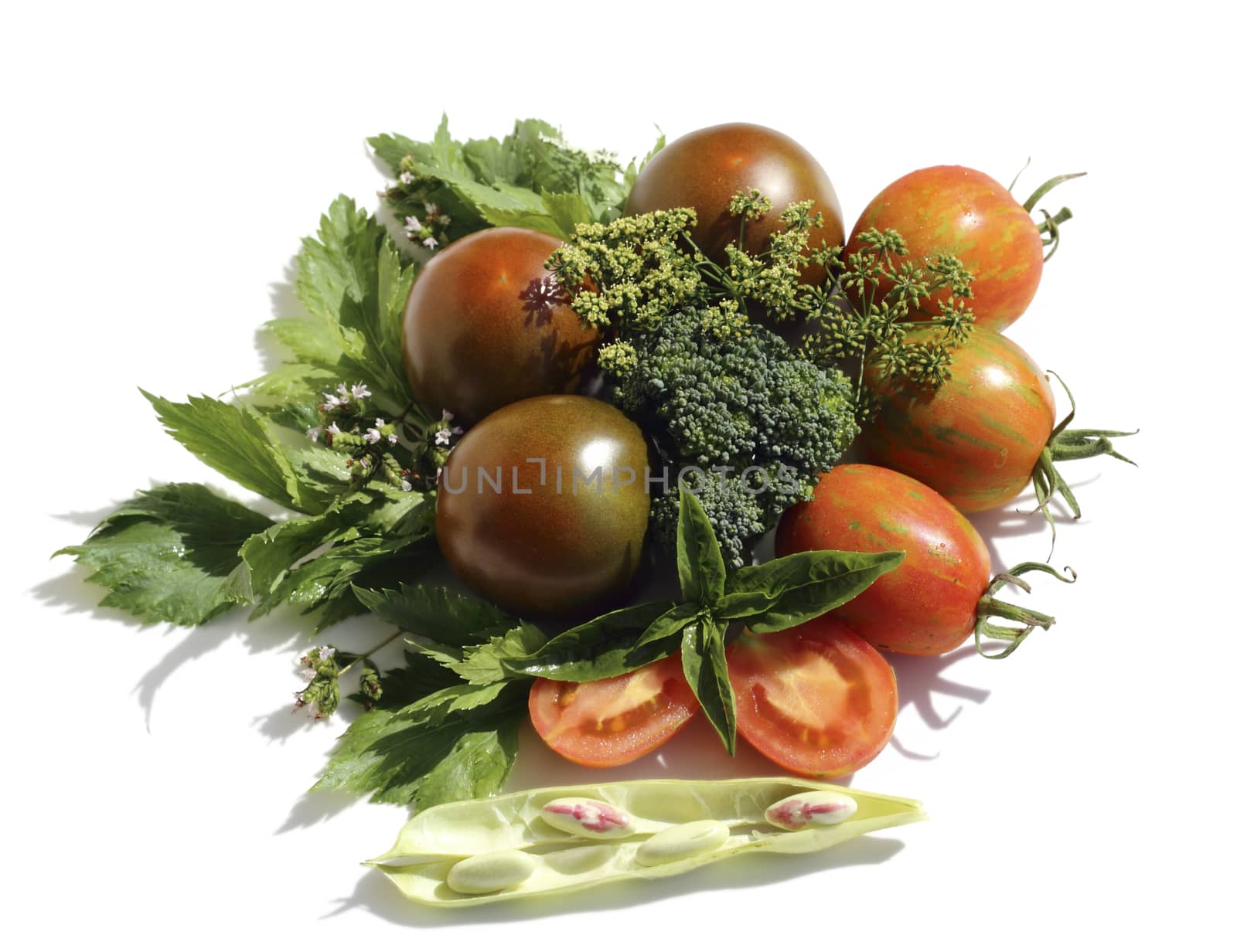 Fresh ripe vegetables, tomatoes, broccoli,basil, celery leaves, beans close up