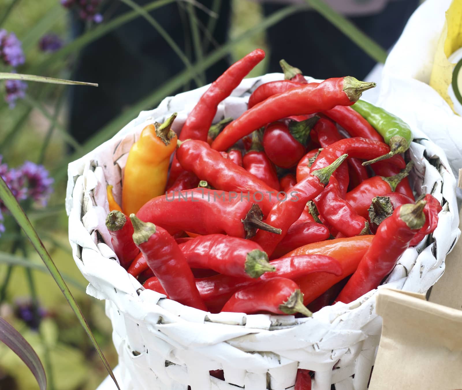 Close up ripe chili pepper basket