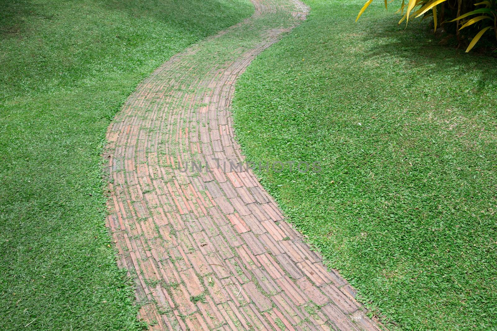 Garden stone path by Pakhnyushchyy