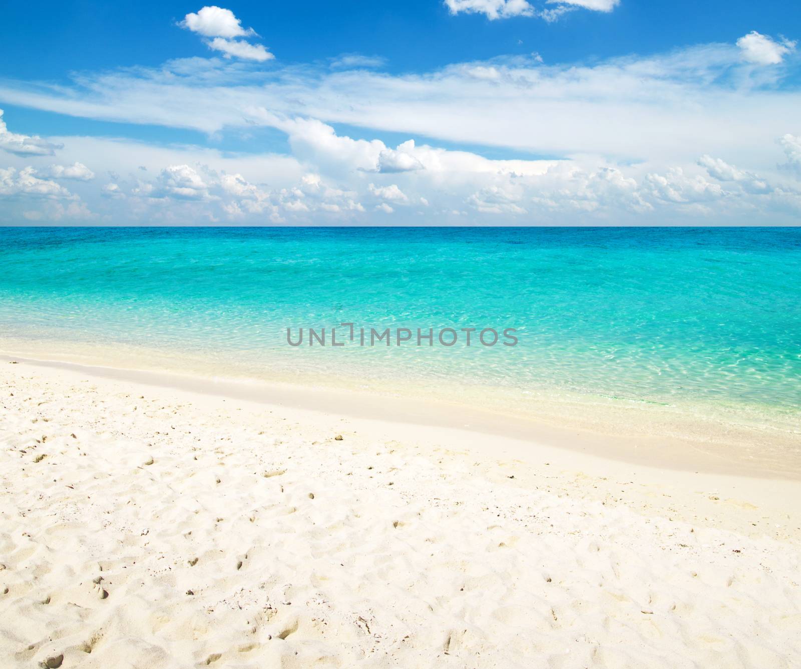 beautiful beach and tropical sea

