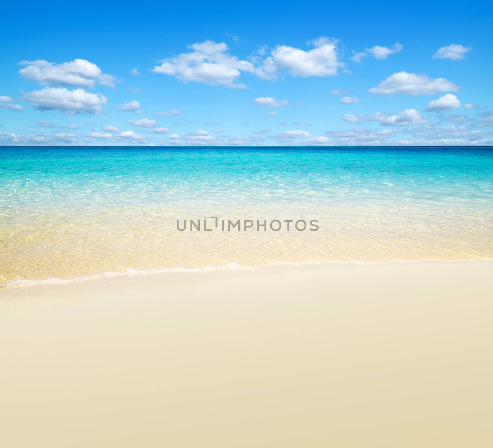 beautiful beach and tropical sea