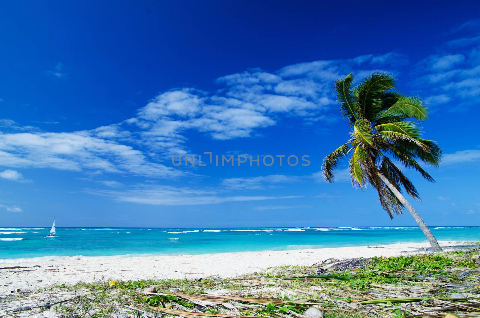  sea beach. Vacation and Tourism concept. 