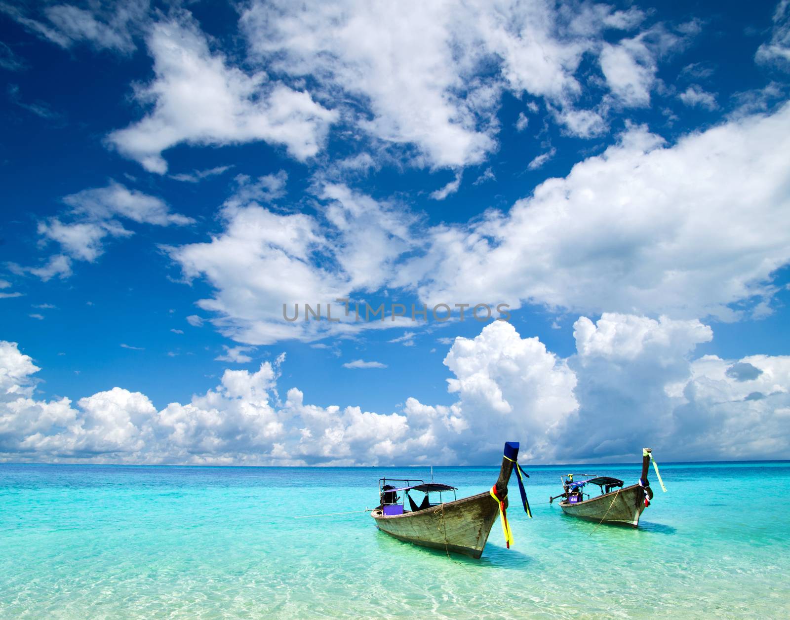 beautiful beach and tropical sea