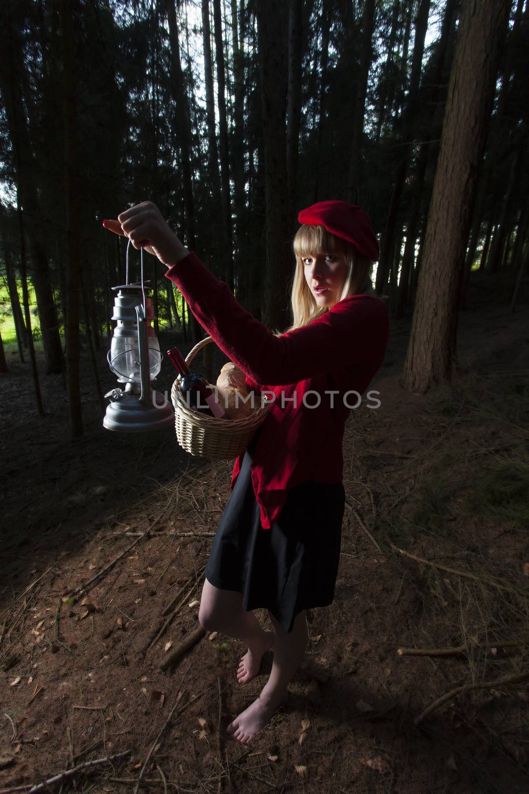 little red riding hood in the forest
