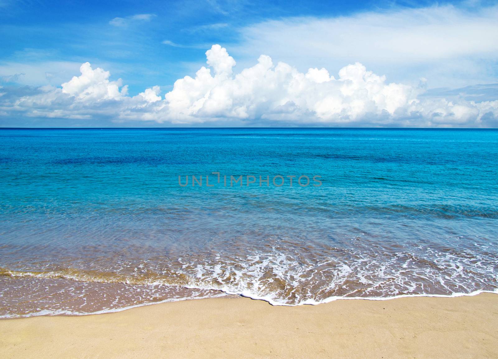 beautiful beach and tropical sea