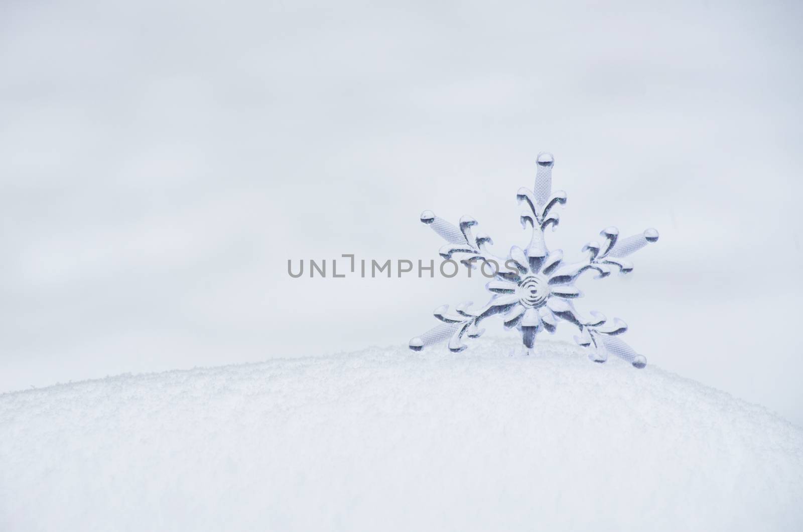 Snowflake in a white snow