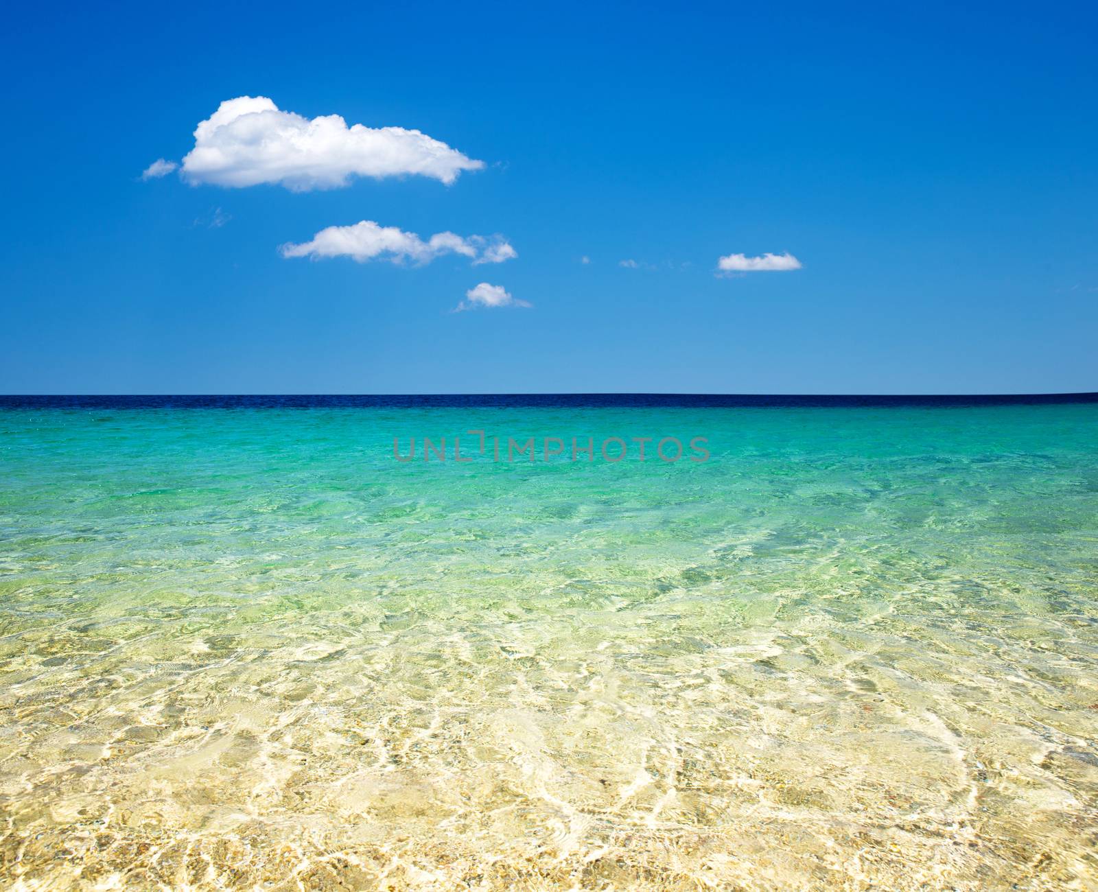 beautiful beach and tropical sea