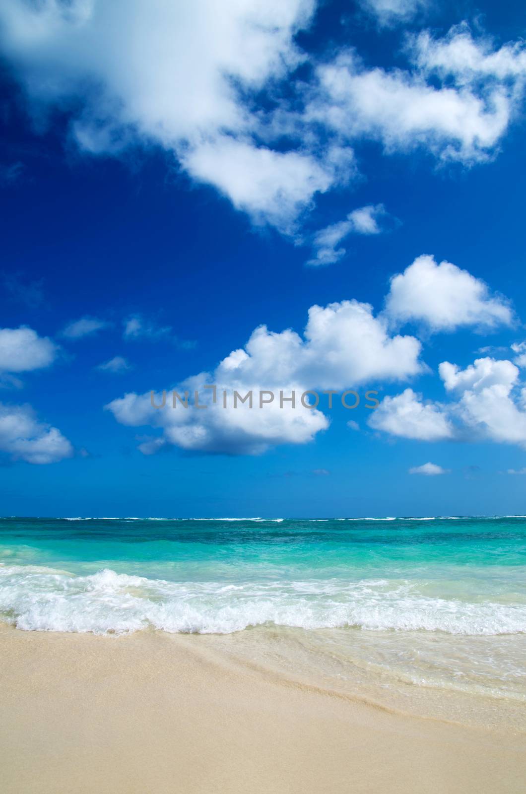 tropical sea and blue sky