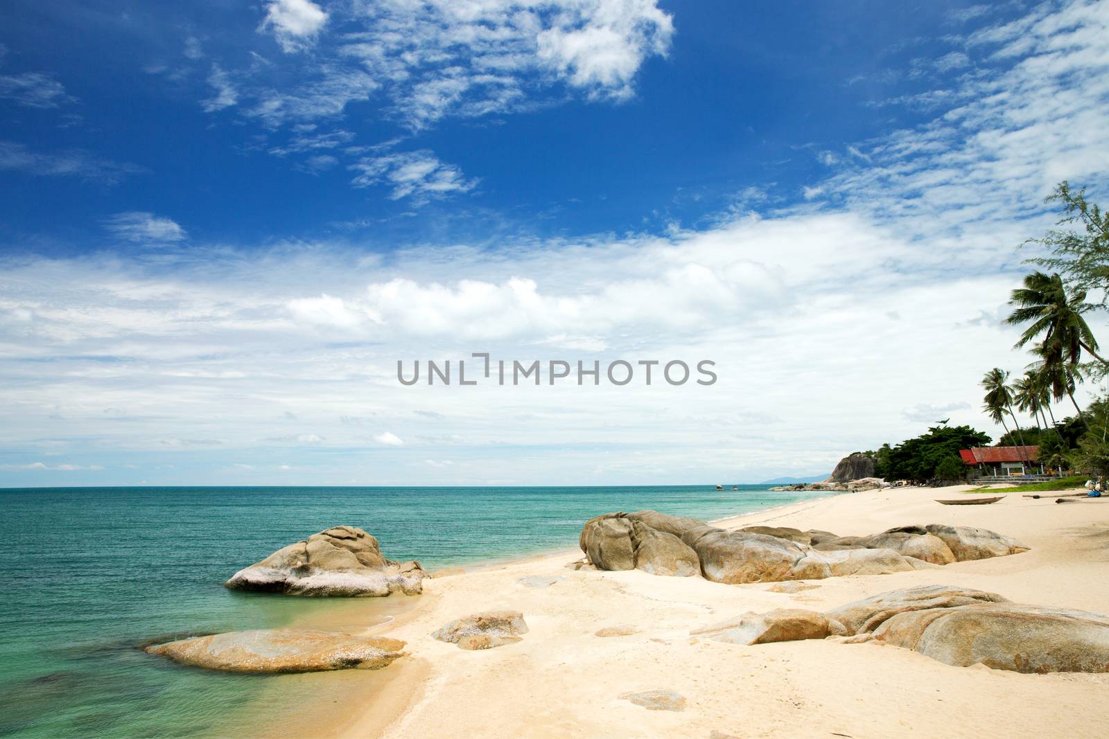 tropical sea under the blue sky