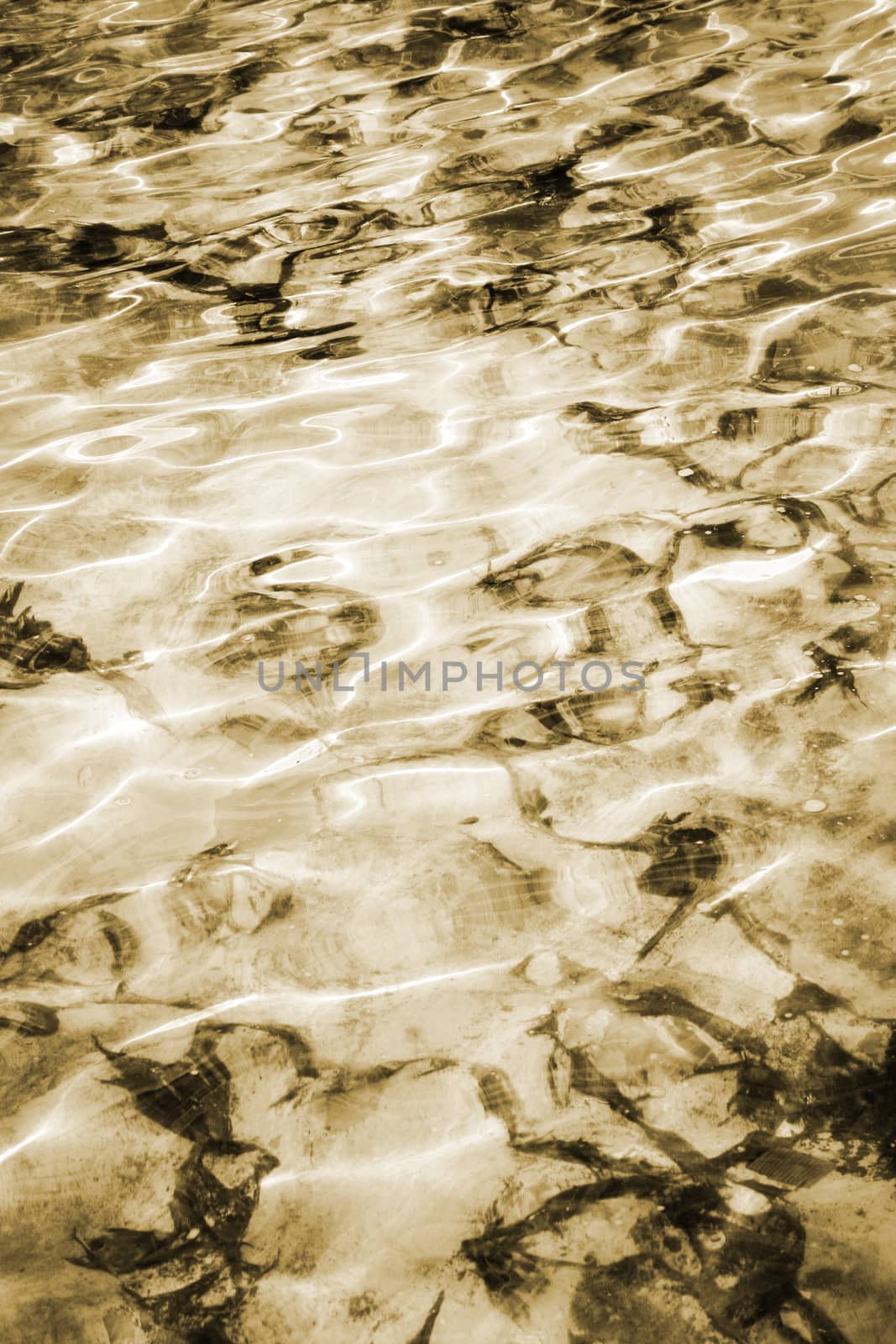 Close-up image of water waves