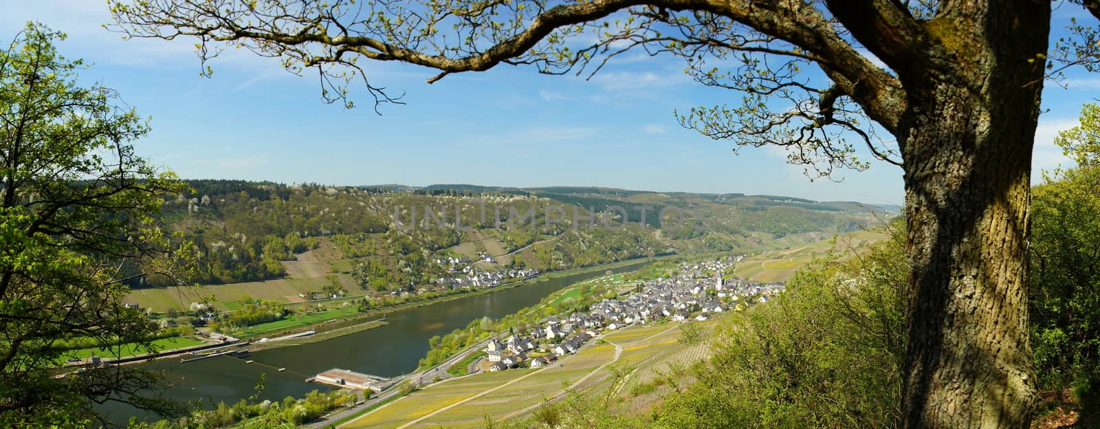 Moselle Valley with Kövenig, Enkirch and on the plateau in the middle the village of Montroyal