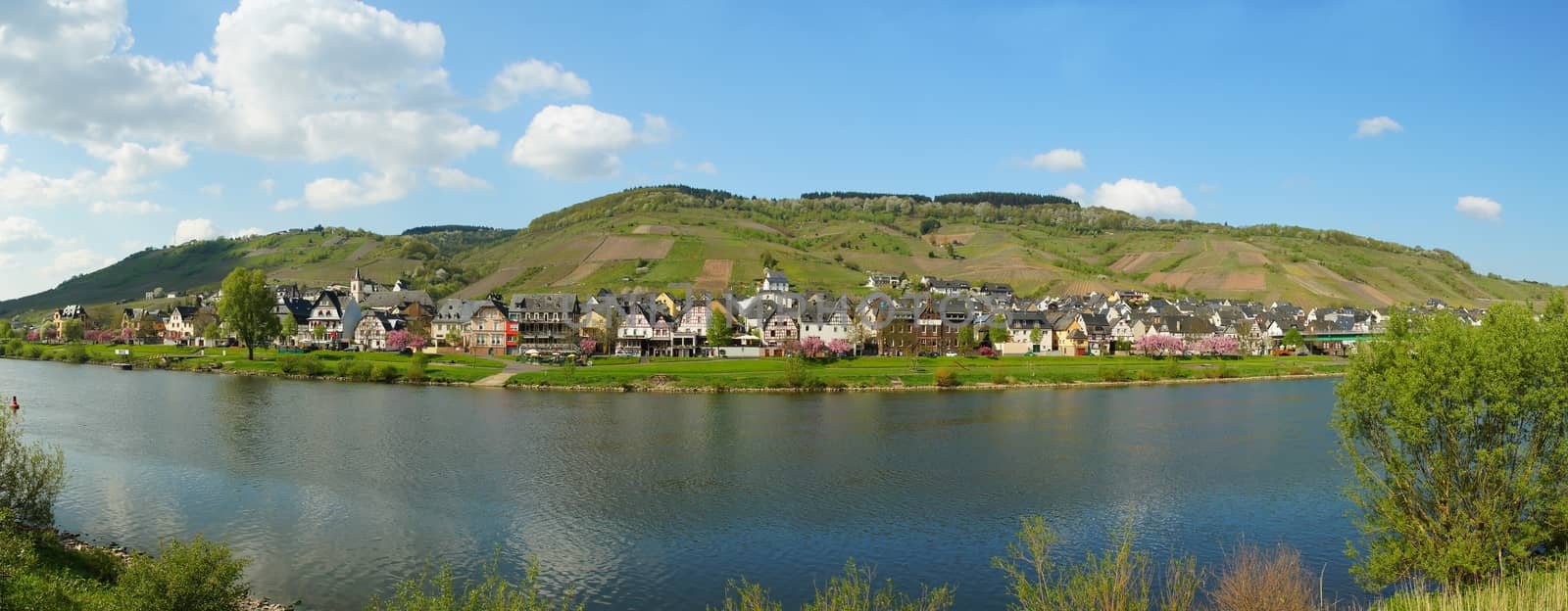 Reil on the Moselle Panorama in springtime