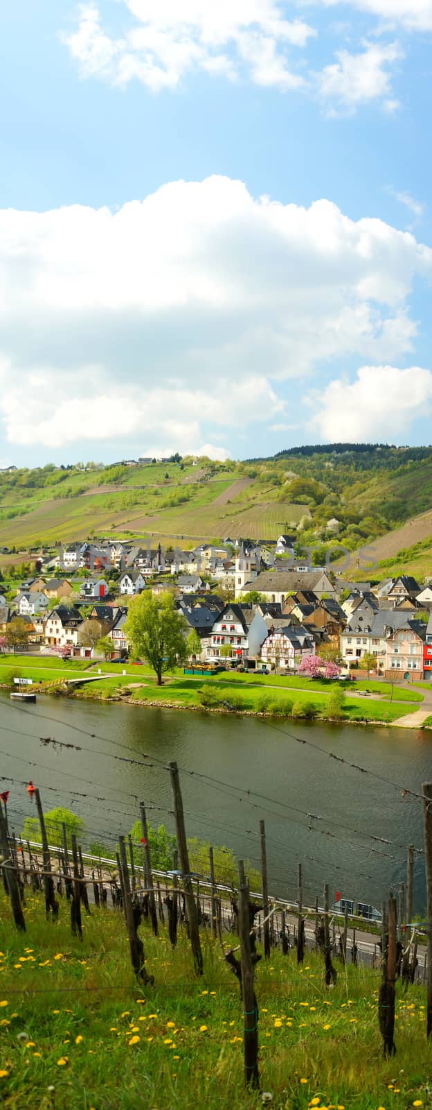 Reil on the Moselle panorama portrait