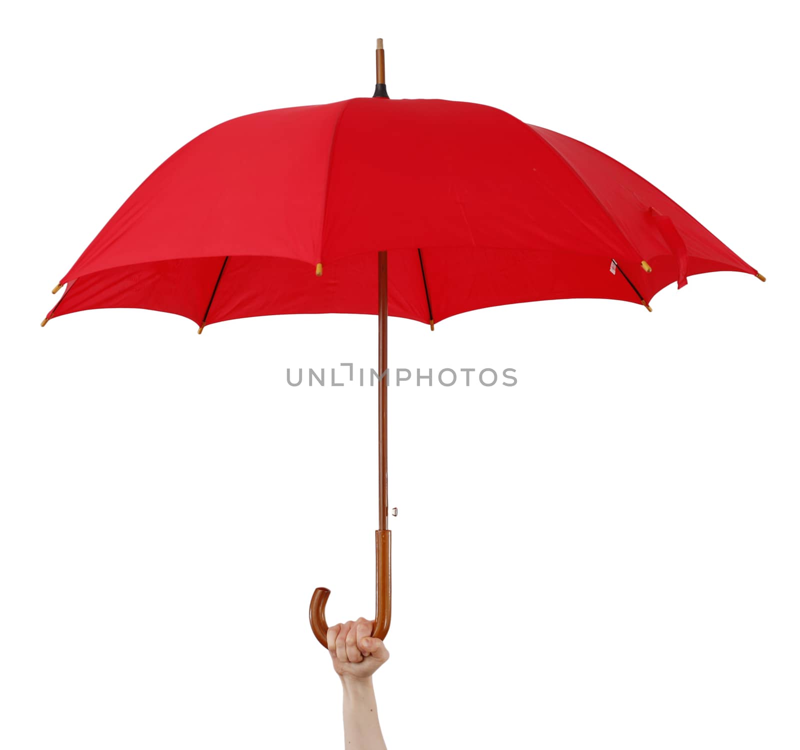 Big umbrella, isolated on white, hold in hand