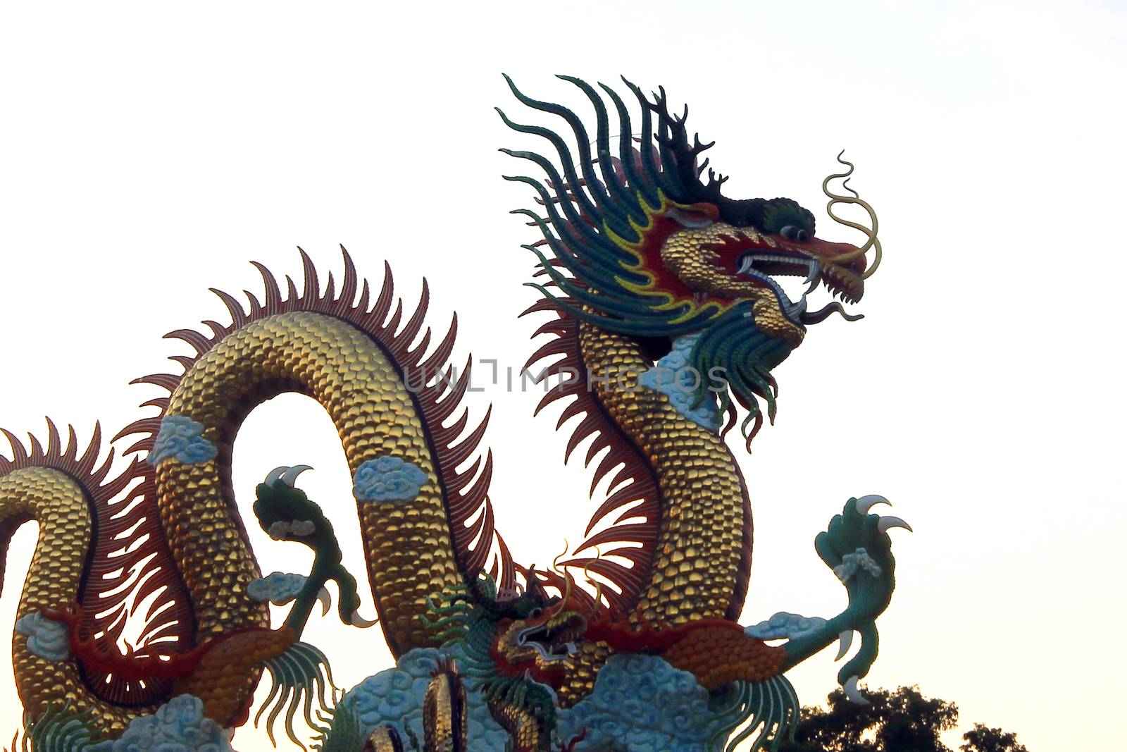 Giant golden Chinese dragon