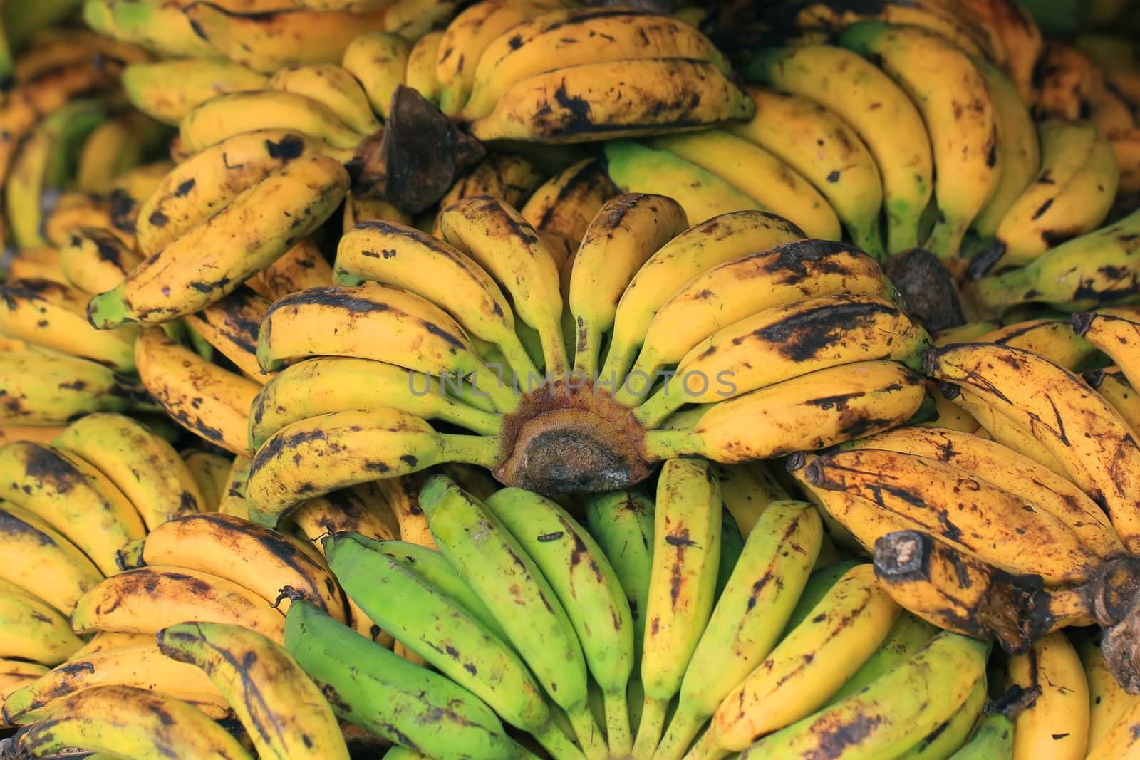 Pile of banana at fruit market