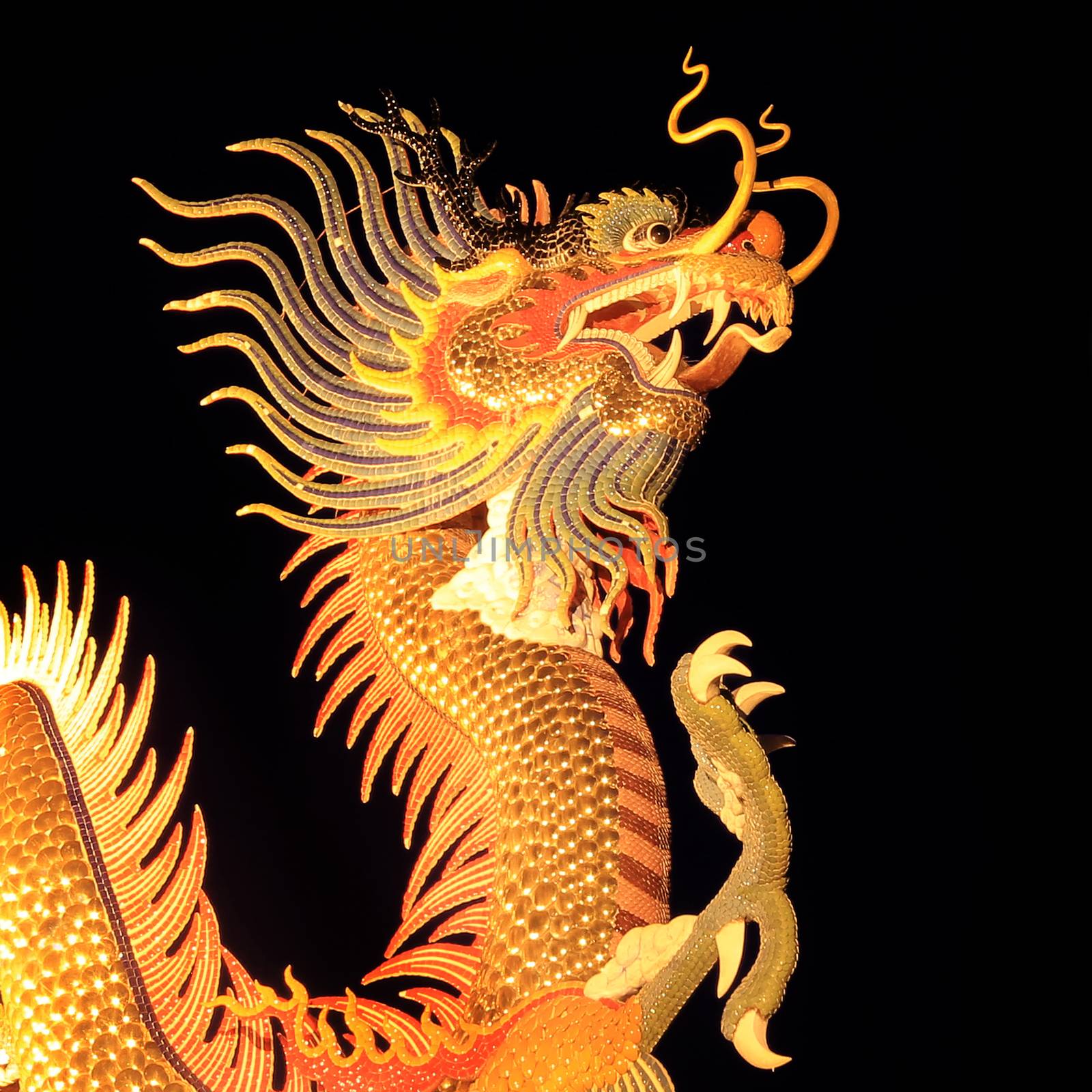 Chinese dragon isolate on black background