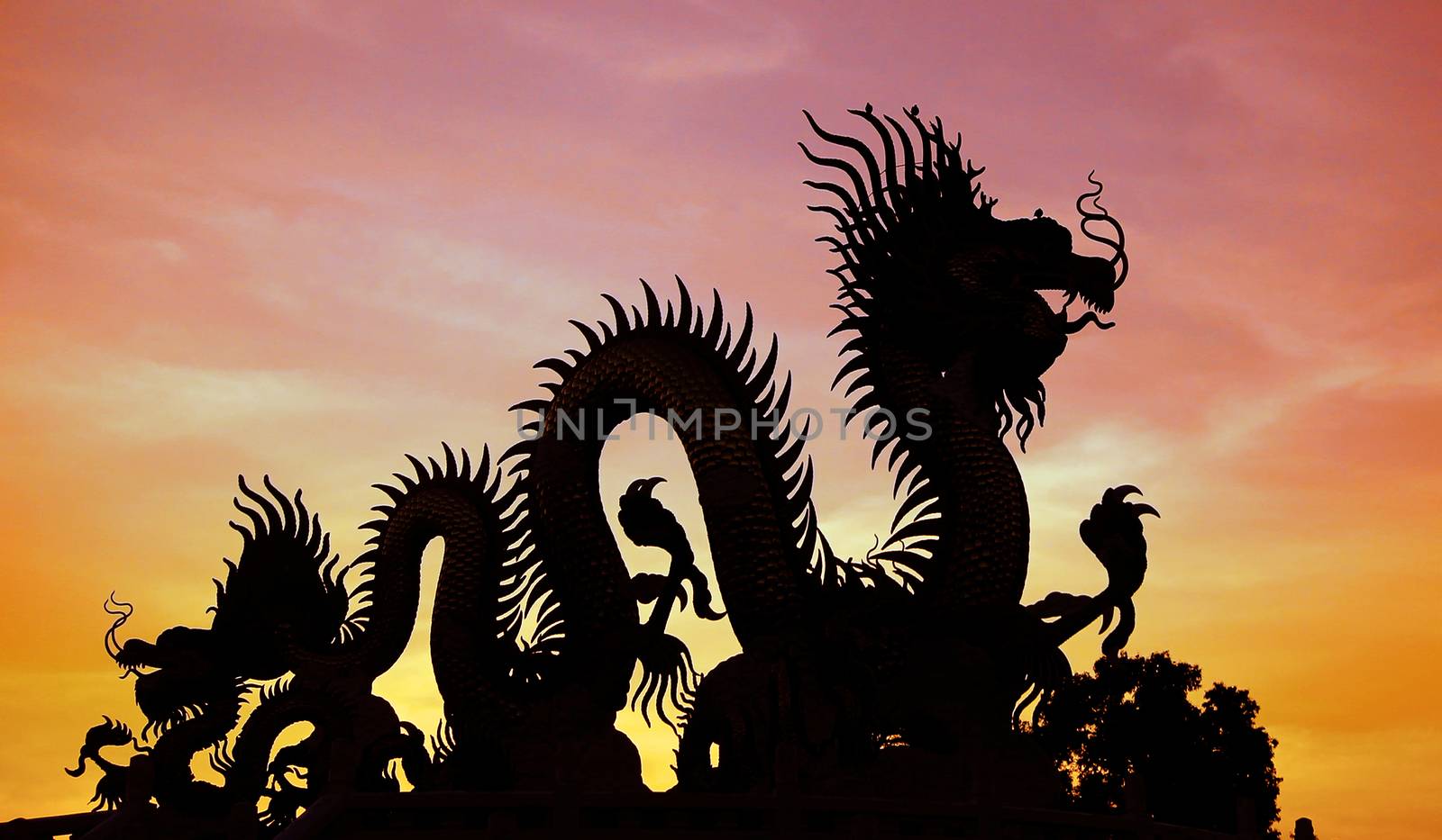 Silhouette of the golden Chinese dragon