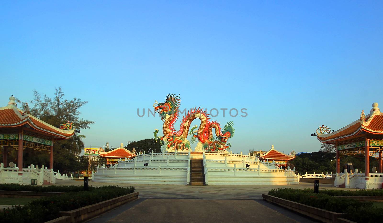 Chinese golden dragon on beautiful sky background