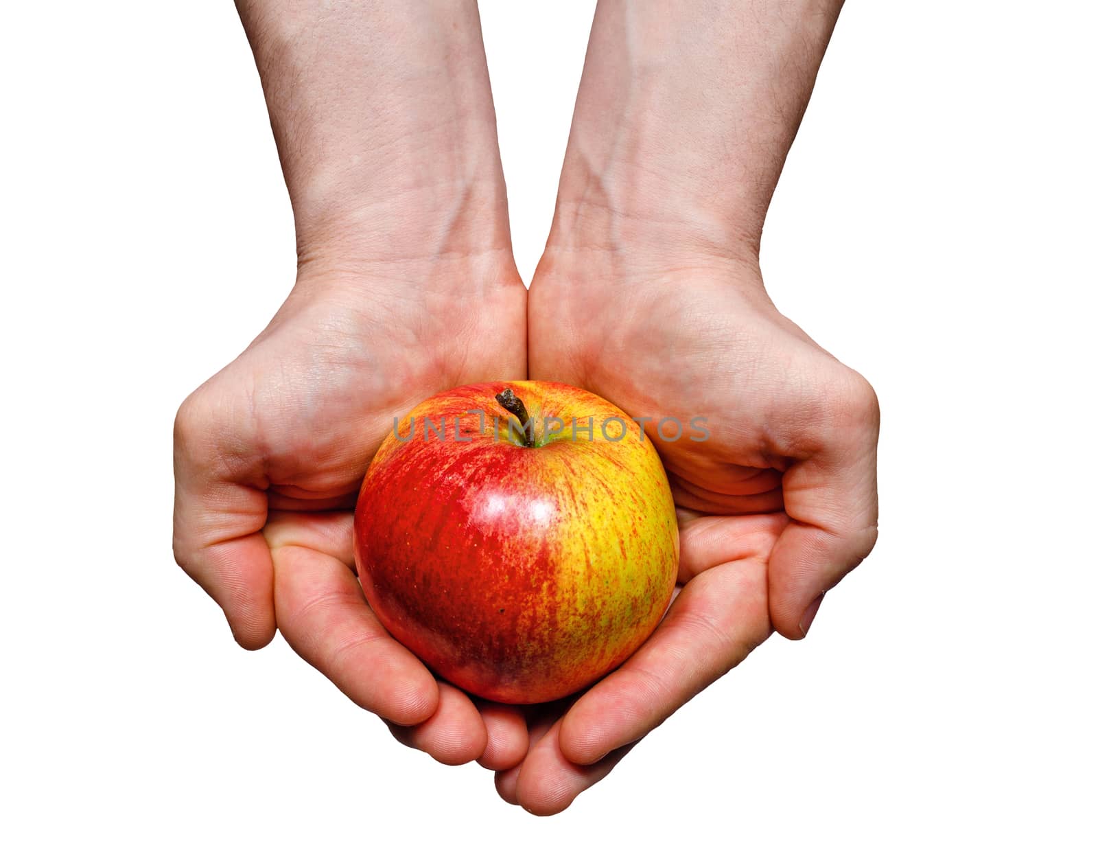 Hands holding apple by Vagengeym