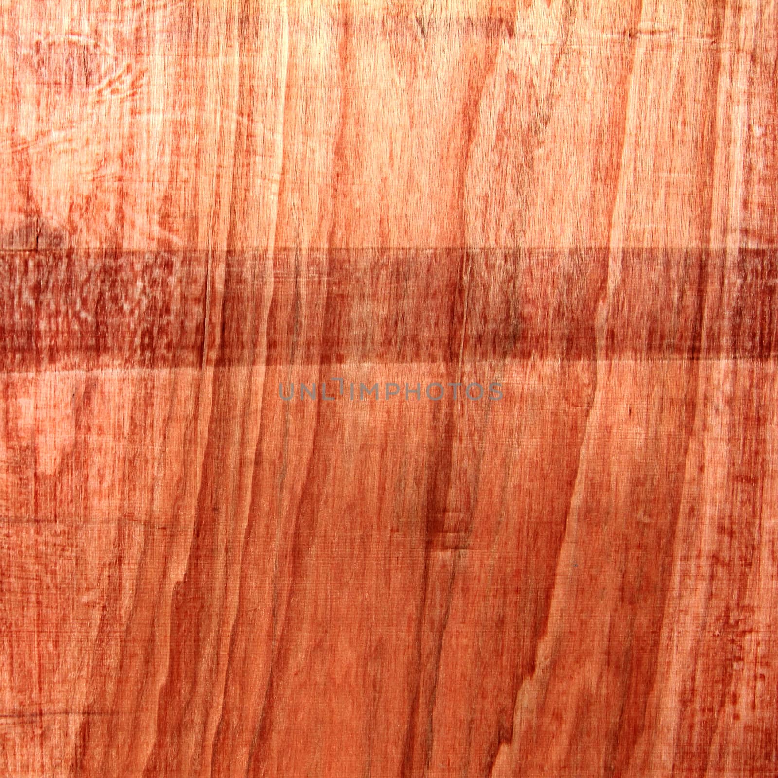 Detail of wood texture for background
