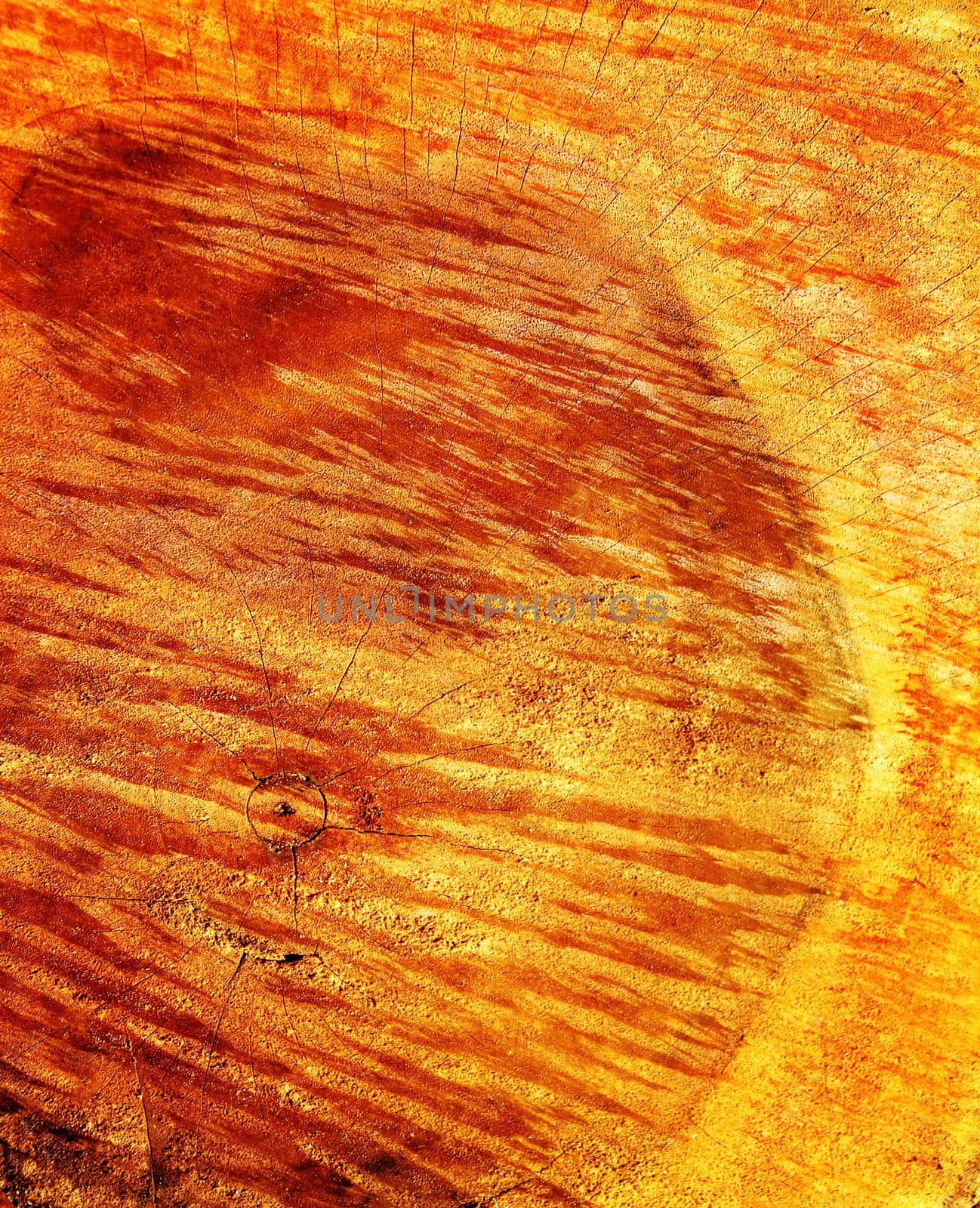 Detail of Cut Wood  texture for background