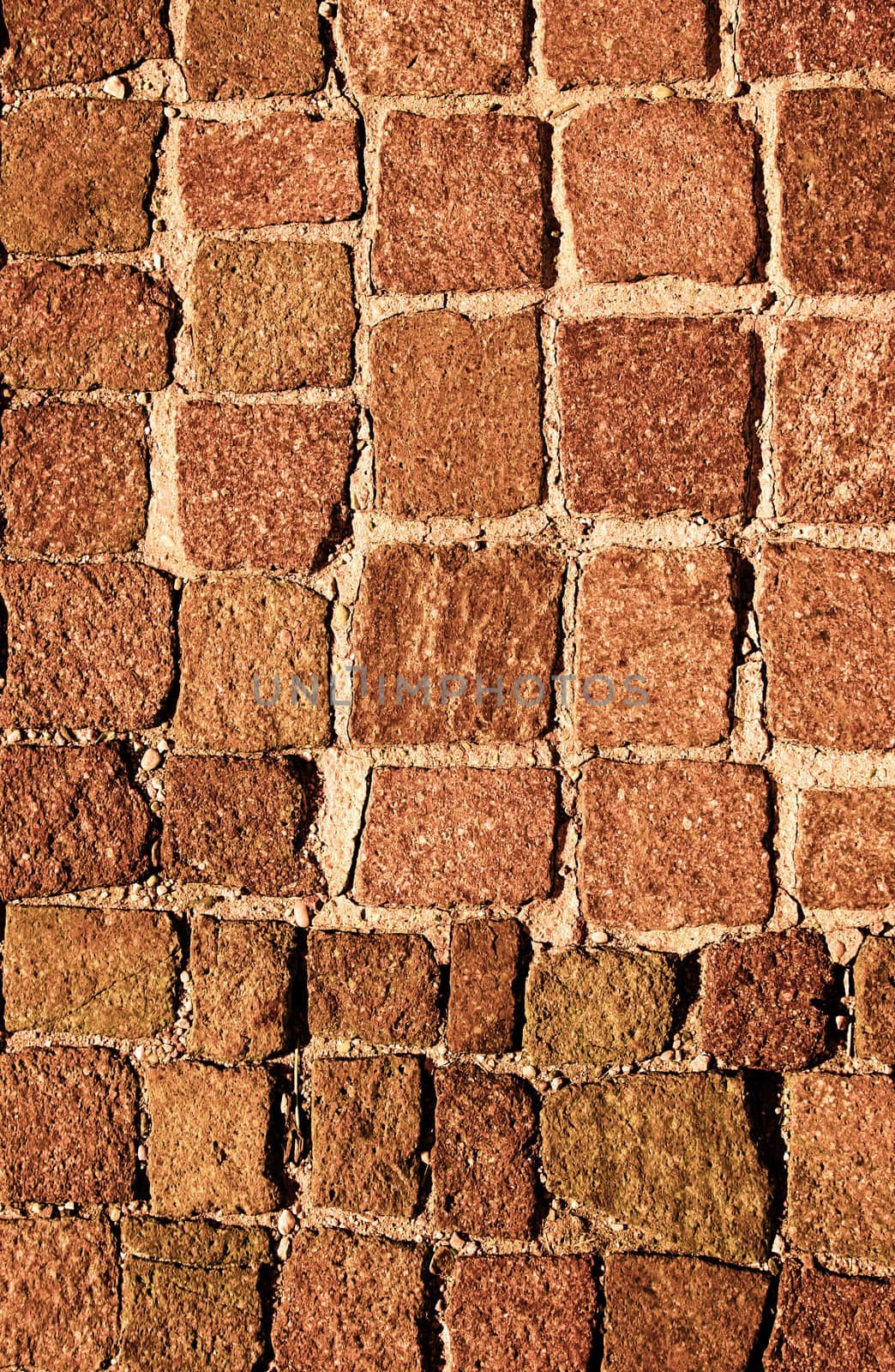 Rock wall, close up.Texture background. Great details.