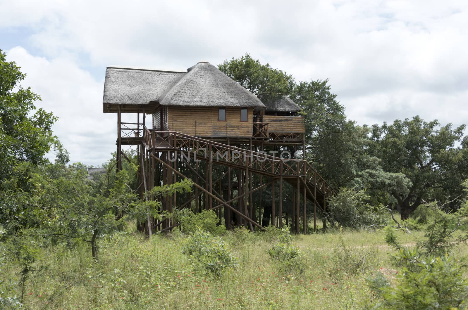 giant wooden house  on poles in  africa by compuinfoto