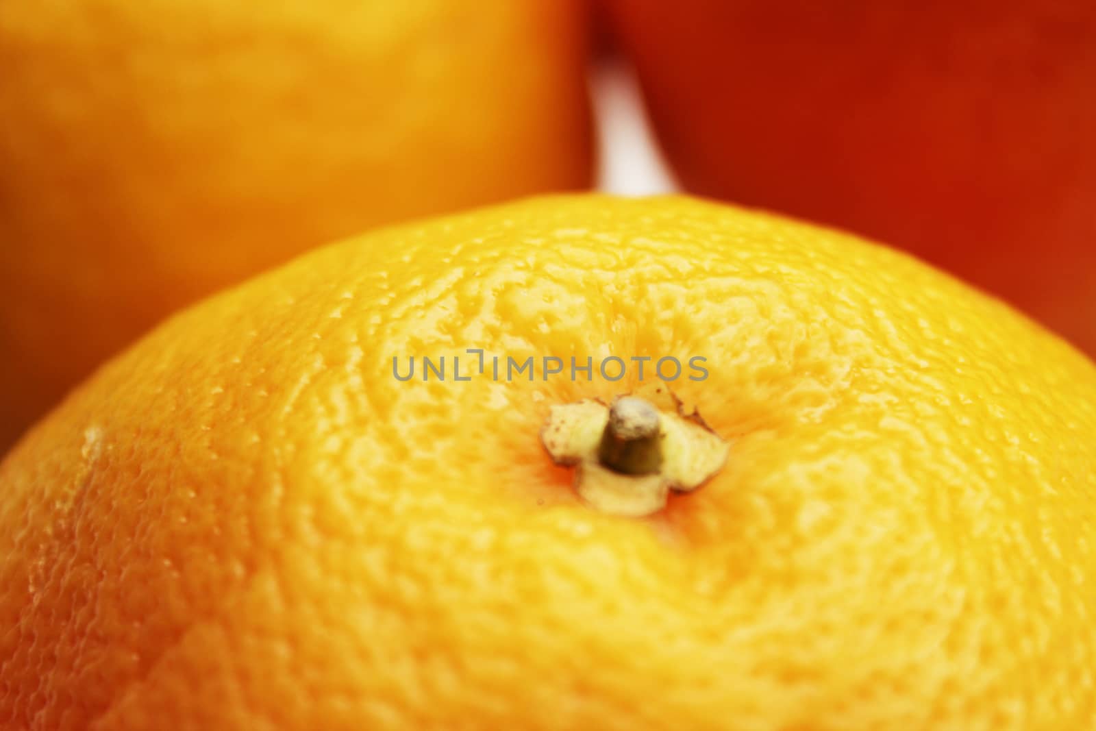 Grapefruits by AlexDePario