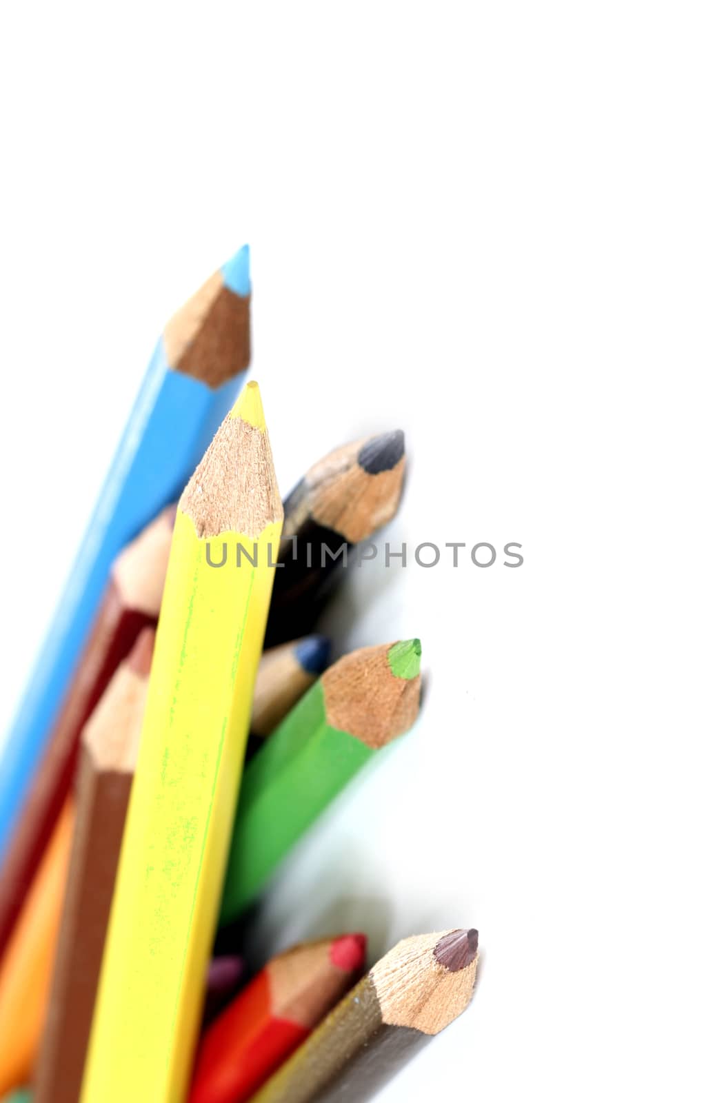 Close-up pencil. by arosoft