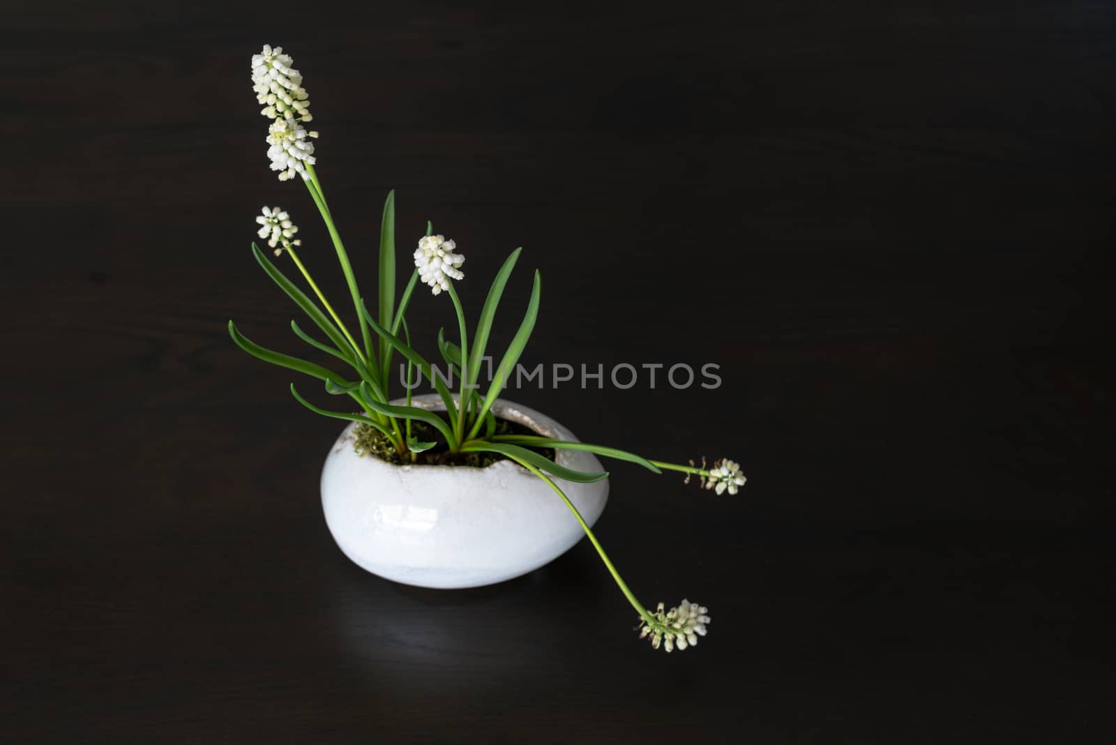 Easter table arrangement with baby hyacinths blooming out of a decorative clay easter egg on a wooden table