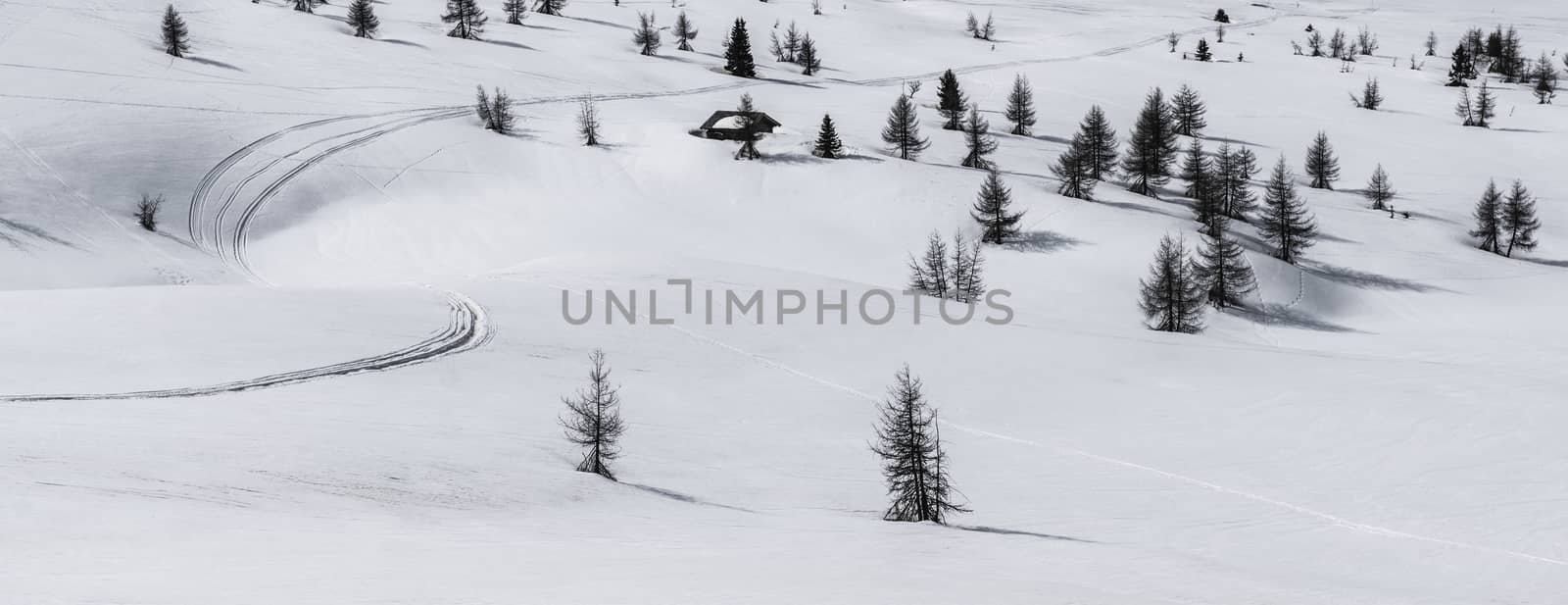 Pralongià, snow and trees - Dolomites, Italy by Mdc1970