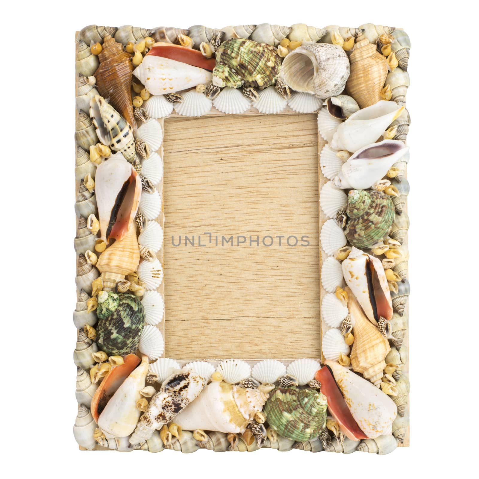 Frame of seashells. Isolated on white background