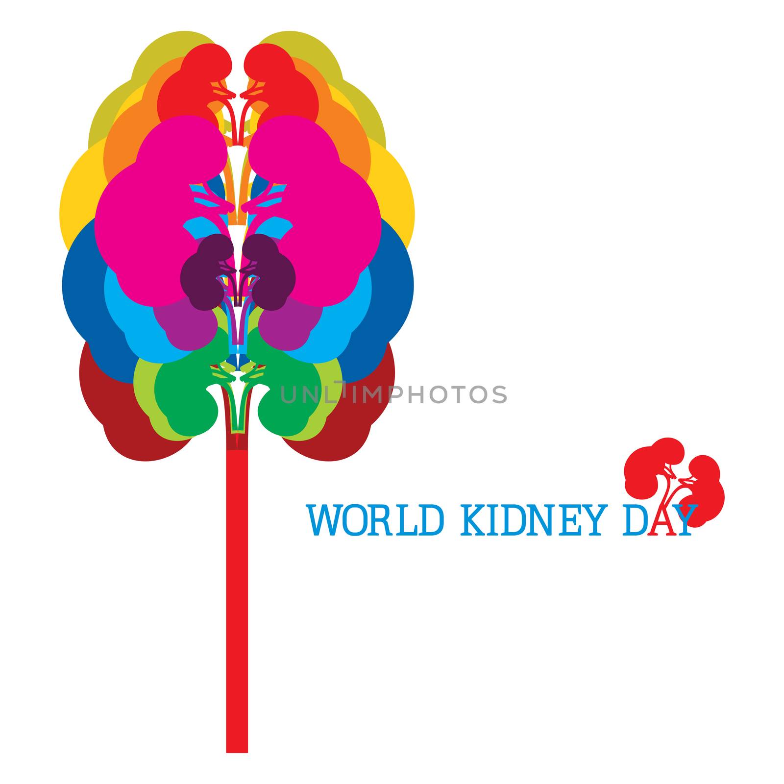 An abstract illustration on Kidney