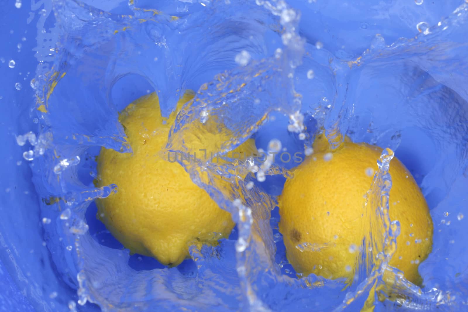 Yellow fresh lemons. Macro image