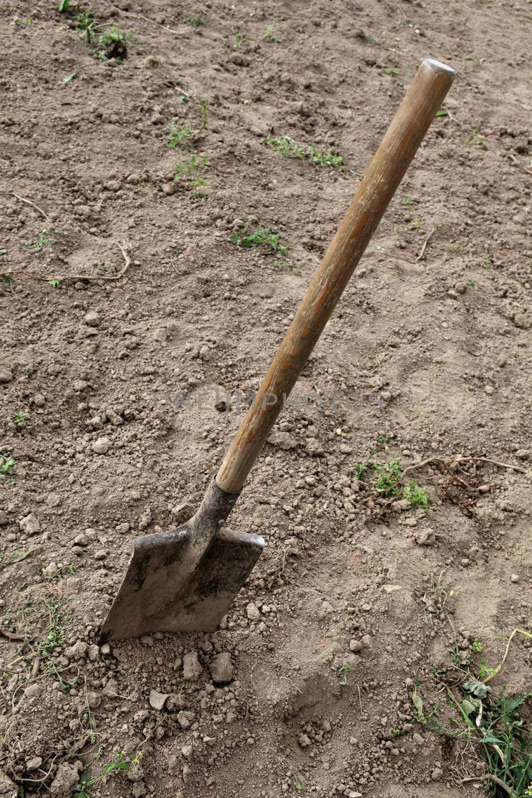 shovel stuck in the ground